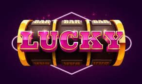 339 bet game